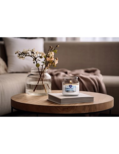BISPOL Aura scented candle snd71-375 (Winter air) ~28h