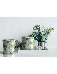 Vonná sviečka BISPOL Aura sn72s-40 (Jarné osvieženie) ~22h 2