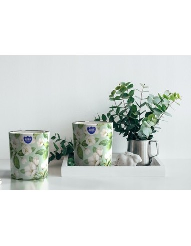 Vonná sviečka BISPOL Aura sn72s-40 (Jarné osvieženie) ~22h