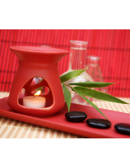 BISPOL Aura scented wax mod40-2-314 (Frozen berries) 2 pcs.