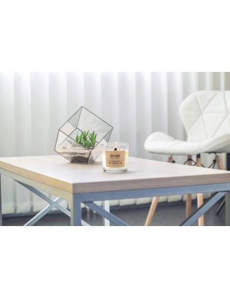 BISPOL Aura Duftkerze SN100-000-78 (Geschnittene Rosen) ~40 Std.