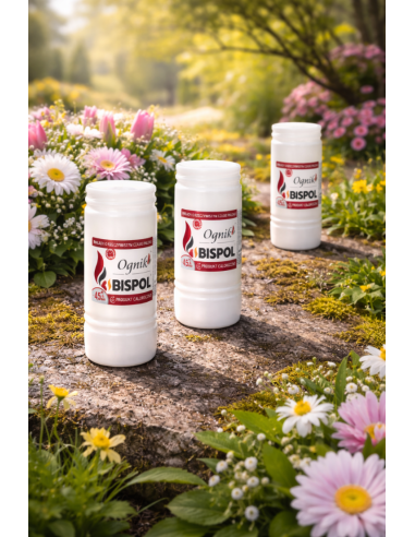 Paraffinkerzeneinsatz Bispol Ognik WP5G 108h 4,5 Tage 1 Stück