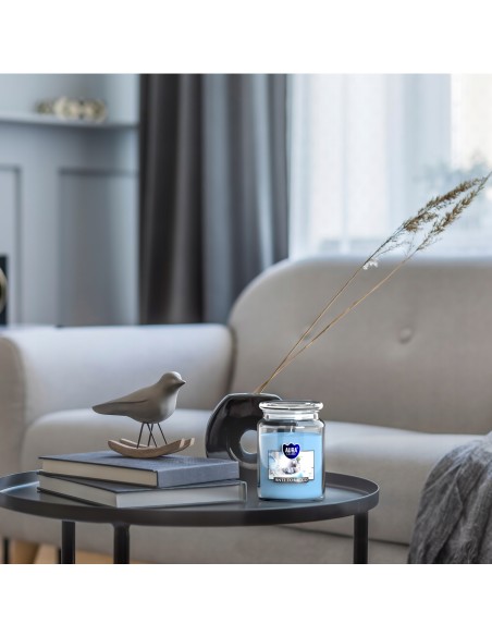 BISPOL Aura scented candle snd99-69 (Anti-tobacco) approx. 100h