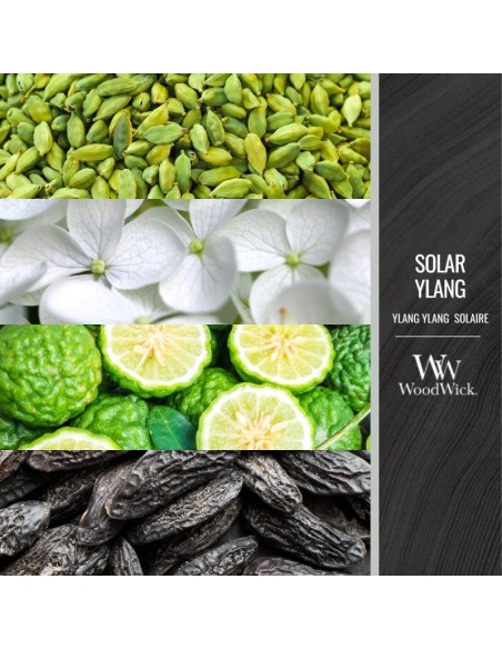 Vonná sviečka WoodWick Solar Ylang stredná 275 g